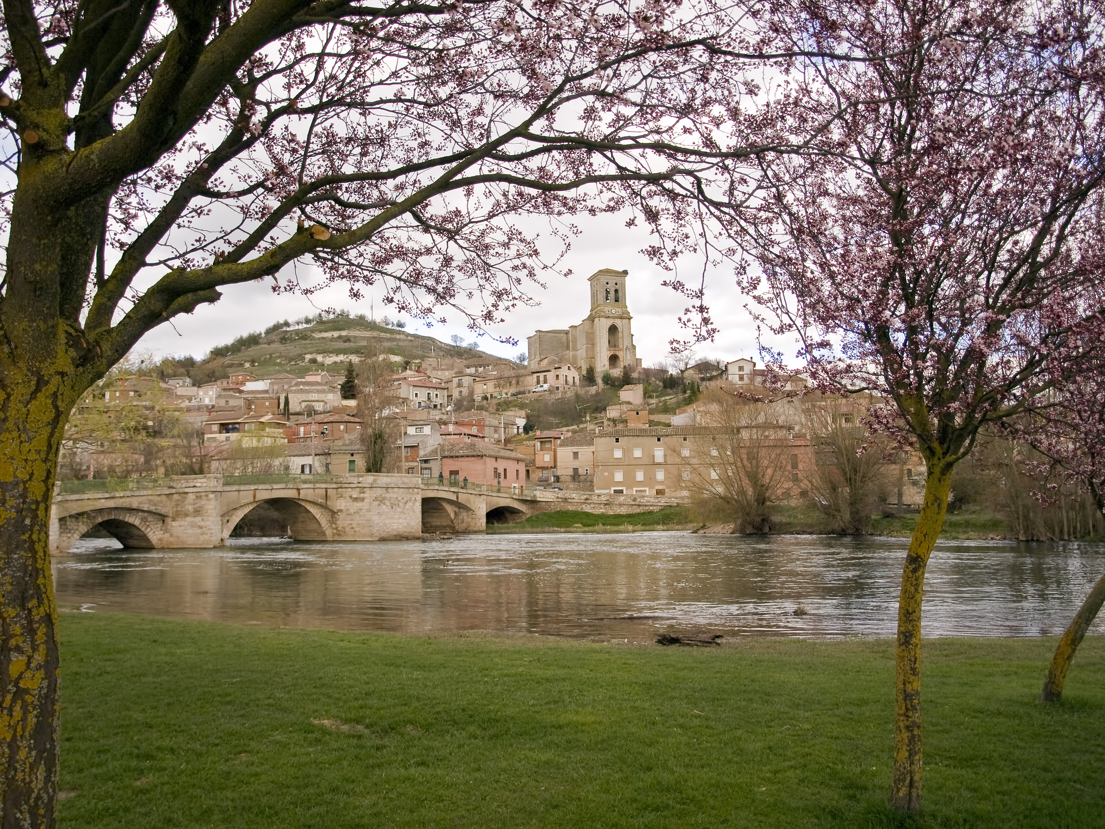 Panorámica de Pampliega