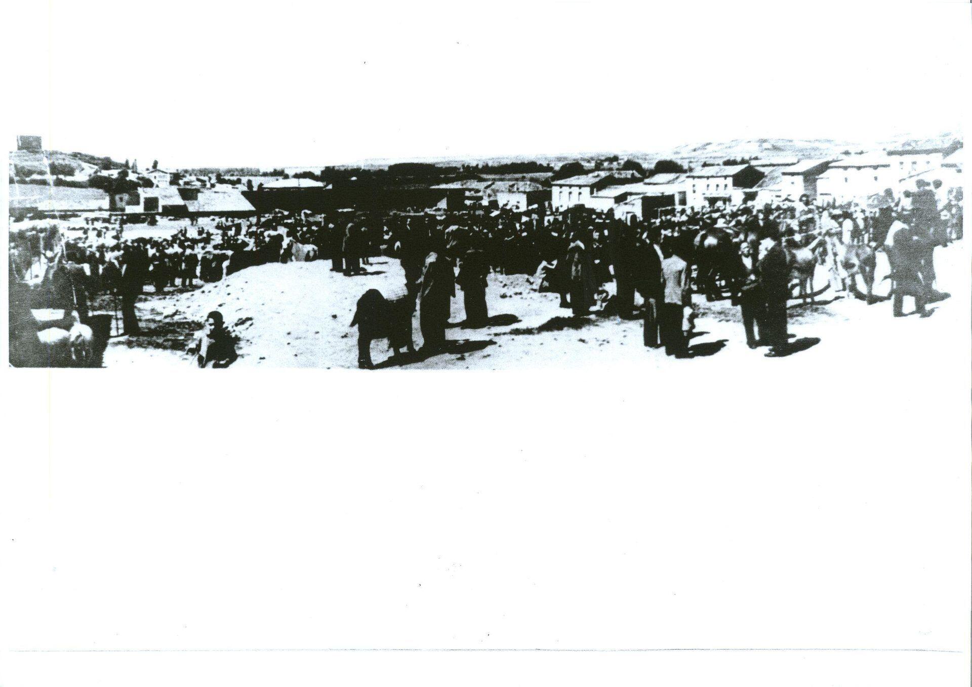 Fotografía de la galería de imágenes con id: 878