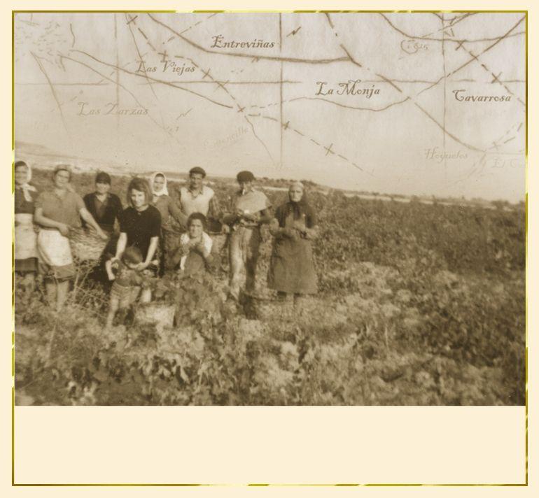 Fotografía de la galería de imágenes con id: 883